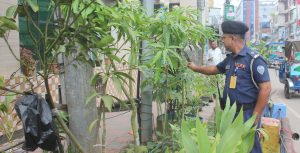 লক্ষ্মীপুরে চাকরির ফাঁকে এটিএসআই সাইফ উদ্দিনের গড়ে তোলা বাগান
